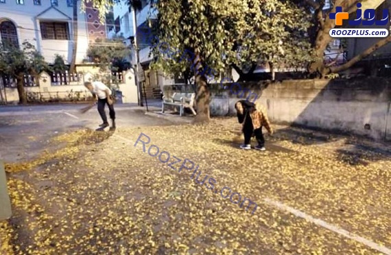 عکس/ تمیز کردن خیابان توسط آقای وزیر و همسرش