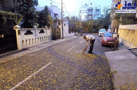 عکس/ تمیز کردن خیابان توسط آقای وزیر و همسرش