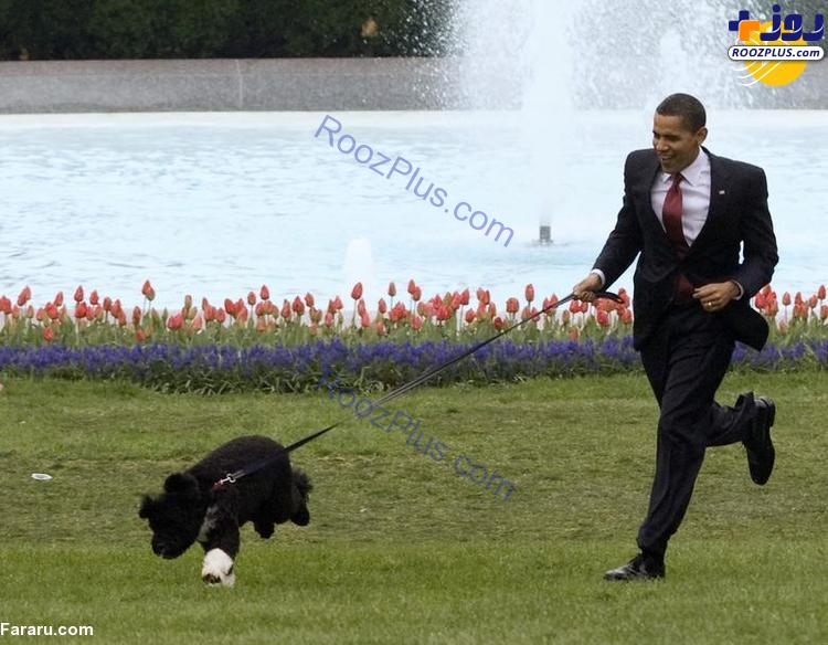 حیواناتی که با روسای جمهور آمریکا به کاخ سفید رفتند +عکس