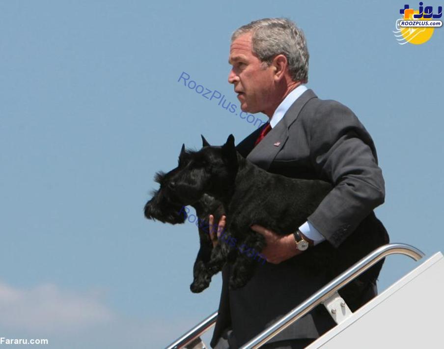 حیواناتی که با روسای جمهور آمریکا به کاخ سفید رفتند +عکس