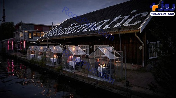 رستوران کرونایی در آمستردام!+تصاویر