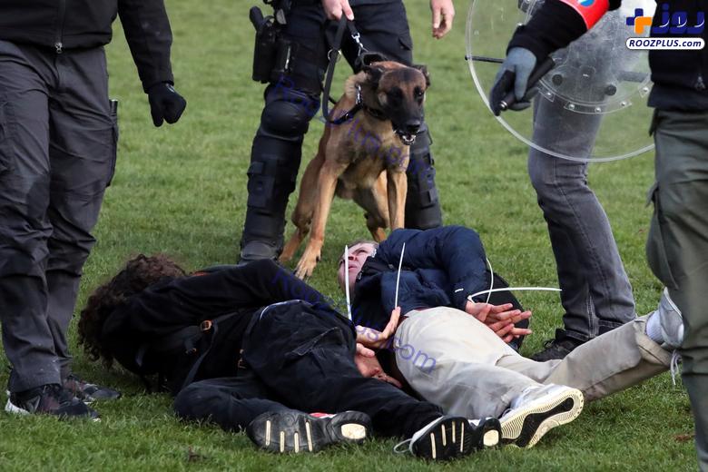 حمله سگ های پلیس بلژیک به معترضان! +عکس