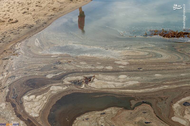 نشت عظیم نفت در ساحل+عکس