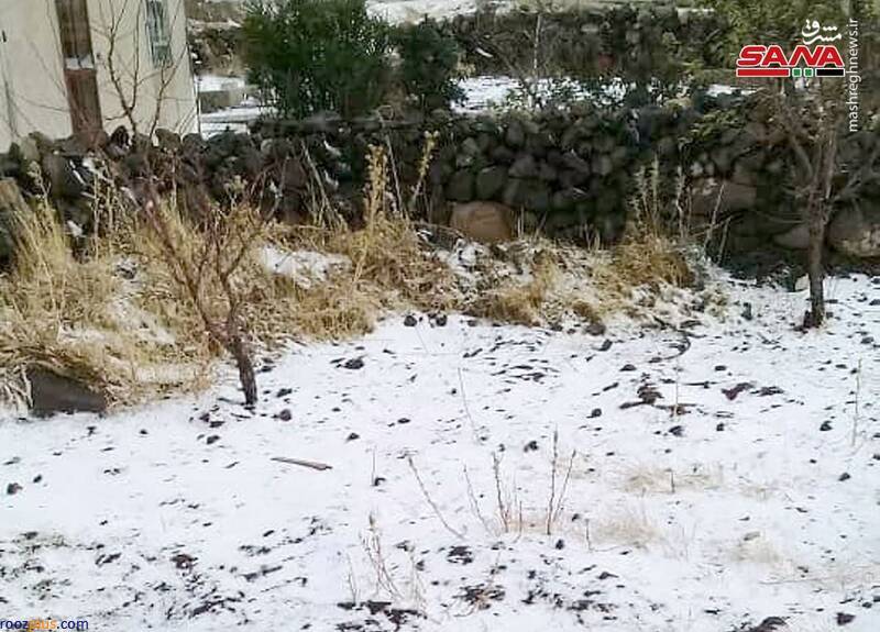 بارش برف در سوریه/عکس