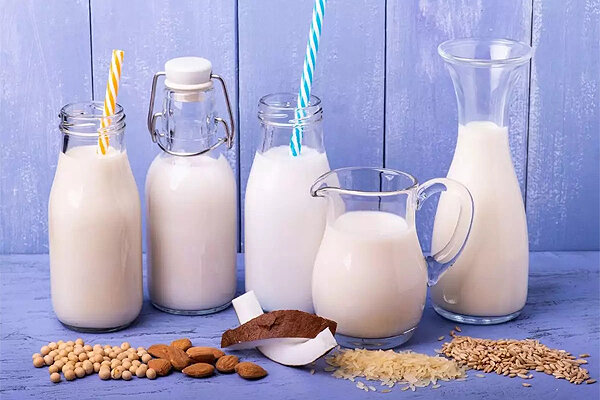 چگونه در خانه شیر گیاهی تهیه کنیم؟ | با این ۴ روش شیر کم‌چرب و مغذی خواهید داشت