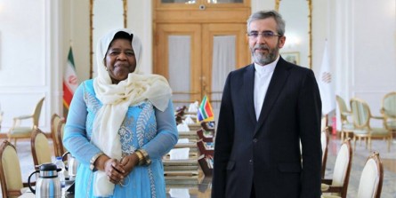تأکید باقری بر توسعه همکاری‌های ایران و آفریقای جنوبی برای مقابله با یکجانبه‌گرایی