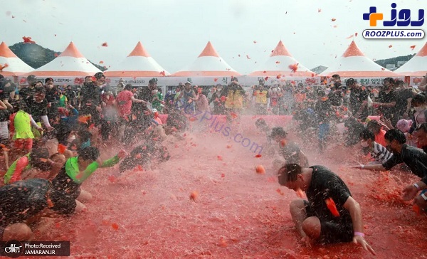 عکس/فستیوال دعوای گوجه فرنگی در کره‌ جنوبی