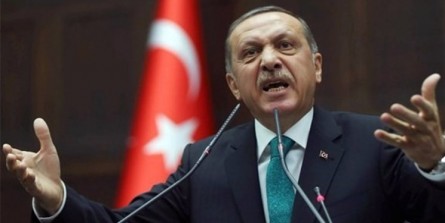 اردوغان: عملیات در شمال سوریه و عراق به حملات هوایی محدود نمی‌شود